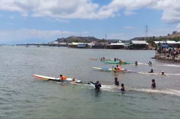 PLN sukses mendukung keandalan listrik Festival Hiu Paus 2025 di Sumbawa