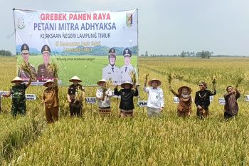 Bulog catat realisasi serapan gabah di Lampung capai 172.048 ton