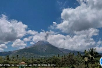 PVMBG: Gunung Lewotobi Laki-laki erupsi tiga kali pada Selasa