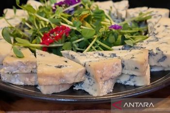 Sensasi Unik: Saat Keju Prancis Berpadu dengan Rempah-rempah Indonesia