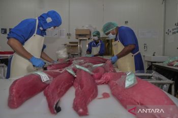 Indonesia expands seafood export acess to Taiwan, South Korea