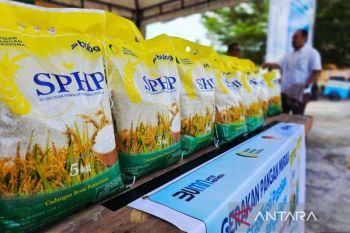 Stok beras di Natuna dipastikan aman hingga akhir 2025
