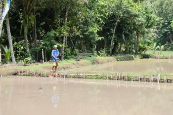 Reforma Agraria hidupkan potensi Desa Bandung, dari semak belukar jadi sumber ekonomi masyarakat