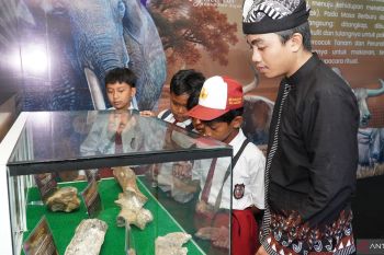 Kadisparbud: Museum Expo Lamongan ajak generasi muda cintai sejarah