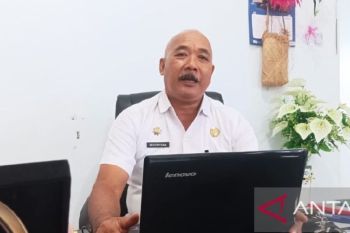 Pemkab Biak Numfor siapkan serentak pemilihan langsung 254 kepala kampung