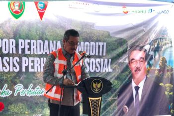 Maluku prepares 35,000 hectares for agricultural downstreaming