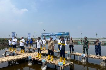 Pelindo usung konsep Pelabuhan Hijau