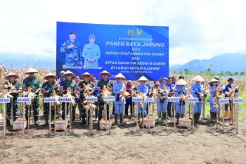 KASAU dukung ketahanan pangan nasional lewat panen raya jagung di Lanud Sutan Sjahrir Padang