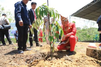 Lampung Barat tanam 219 pohon untuk dukung kawasan konservasi