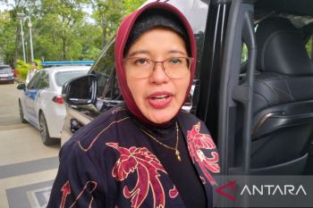 BPS: Pertumbuhan ekonomi lima persen belum cukup untuk kesejahteraan
