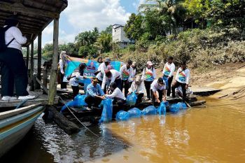 DKPP Barito Utara tingkatkan populasi ikan dengan tebar 38 ribu benih
