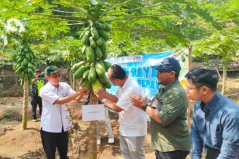 NTB menyiapkan dua kawasan industri agromaritim pengolahan udang