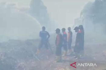 West Aceh battles 19 hectares of forest, land fires