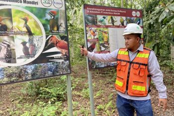 Indominco reklamasi dan revegetasi lahan bekas tambang 9.558 ha hingga Juni 2025