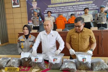Polda Sumbar ungkap perdagangan gelap sisik trenggiling 24,2 kilogram