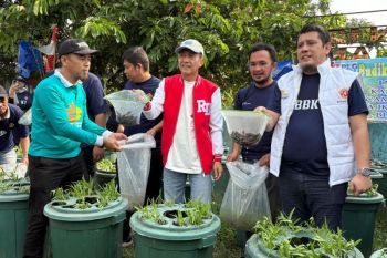 Pemkot Palembang salurkan 1.000 bibit ikan  lele untuk warga
