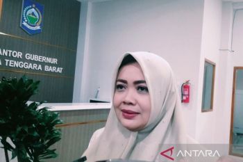 Tim Percepatan NTB dijamin profesional oleh Wagub