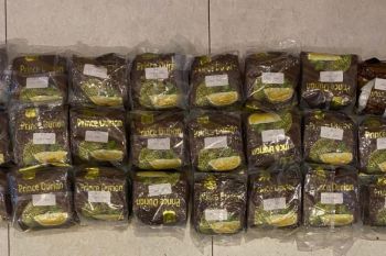 Police seize 24.6 kg of meth in Jakarta apartment raid