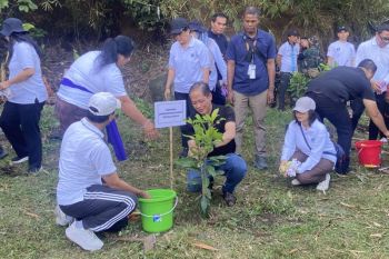 Menteri LH dukung penanaman pohon kembalikan ketangguhan DAS Bali