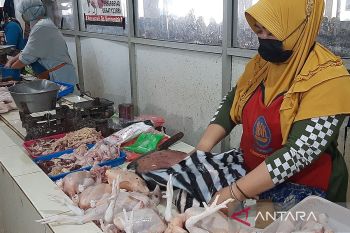 Harga daging ayam  ras di Purwokerto berangsur turun