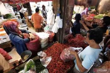 Kemarau jadi faktor naiknya harga cabai merah keriting di Pariaman