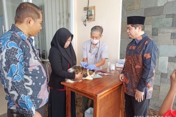 YPN laksanakan vaksinasi rabies gratis untuk hewan peliharaan