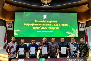 BRK Syariah Gandeng Tiga Pihak, Perkuat Dukungan untuk Peremajaan Sawit Rakyat