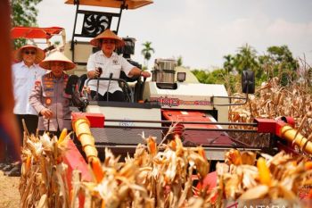Polri distributes 1,765 tons of corn to Bulog to support food security