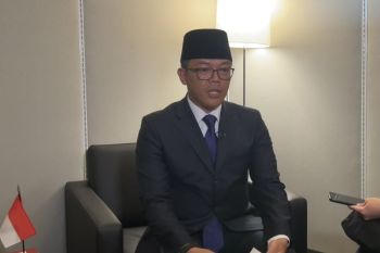 Indonesian FM urges BRICS to push global financial reform for SDGs