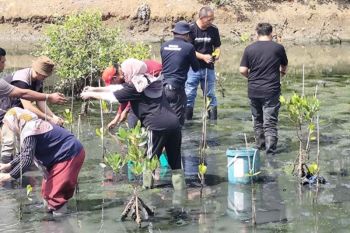 ASPPI tanam mangrove peringati hari pariwisata sedunia