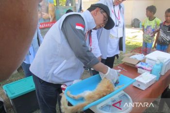 Komunitas pencinta kucing bakti sosial cegah rabies di pulau terluar Aceh
