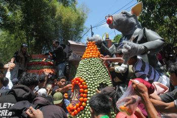 Tradisi kirab budaya sedekah bumi di Surabaya