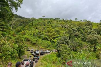 Operasi Damai Cartenz 2026 tangkap 28 orang diduga jaringan kelompok bersenjata
