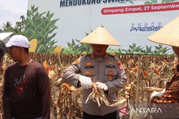 Polres Pasaman Barat libatkan bhabinkamtibmas jaga ketahanan pangan