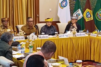 Dede Yusuf minta Pemda Kepri tingkatkan pengawasan di perbatasan