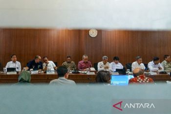 Govt prepares 481,000 hectares in Papua for food self-sufficiency