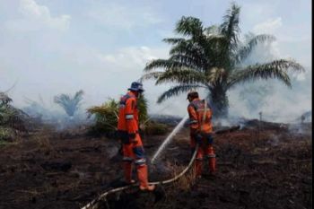 BPBD padamkan kebakaran lahan di OKI seluas 15 hektare