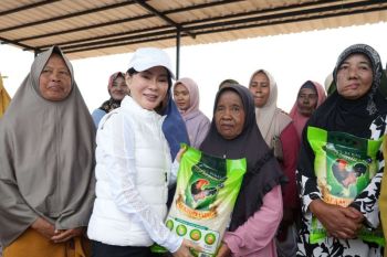 Li Claudia tinjau pembangunan infrastruktur di Tanjung Banun