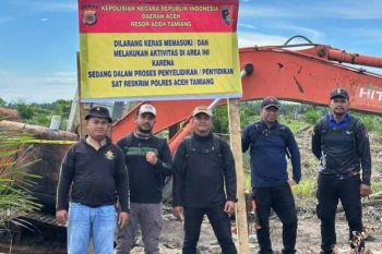 Police probe illegal clearing of 344 hectares of mangrove in Aceh