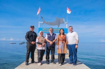 Kementerian Pariwisata: Jaga kelestarian hiu paus Gorontalo