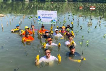 Zurich komitmen aksi lingkungan lewat gerakan tanam mangrove di 6 kota