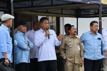 Produksi padi di Kalsel capai 641 ribu ton per Agustus 2025