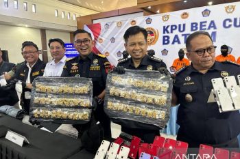Bea Cukai Batam gagalkan penyelundupan emas senilai Rp4,8 miliar