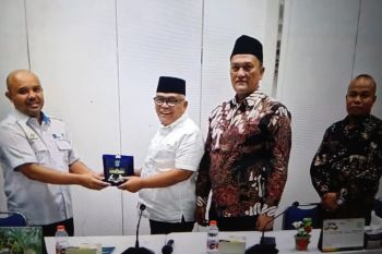 Pemkab Pasaman Barat jajaki kerja sama penyediaan benih sawit ke PPKS Medan