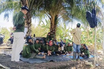 Pemprov Kalteng bantu 30 petani di Kapuas melalui SLPHT