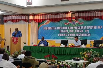 Pemprov Papeg mendorong peningkatan SDM pengadaan barang dan jasa