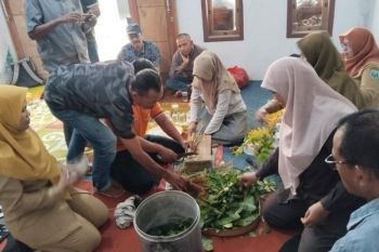 Petani Probolinggo gunakan pestisida nabati atasi serangan hama