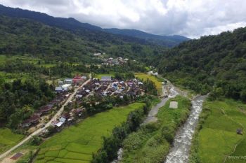 Hutan adat terjaga, ekonomi masyarakat tumbuh
