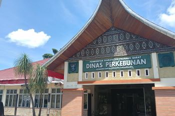 Pemkab: Stok vaksin penyakit mulut dan kuku tersedia di Pasaman Barat