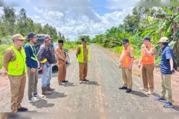 Bupati Kapuas tinjau perkembangan rekonstruksi sejumlah jalan